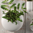 Doniczki Plants 43 - SABHAT KHAN