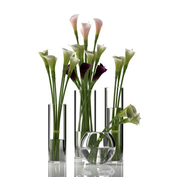 Vasen und Pflanzen  Calla Lily 3D-Modell