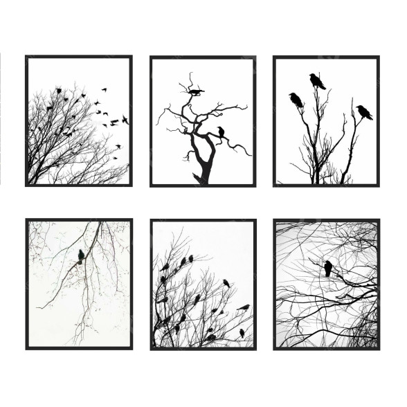 Photos Decore modèle 3D