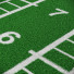 Спортивне покриття Artificial Grass Track and Sled - TASKMASTER