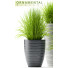 Flowerpots Plants 46 - SABHAT KHAN