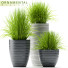 Flowerpots Plants 46 - SABHAT KHAN