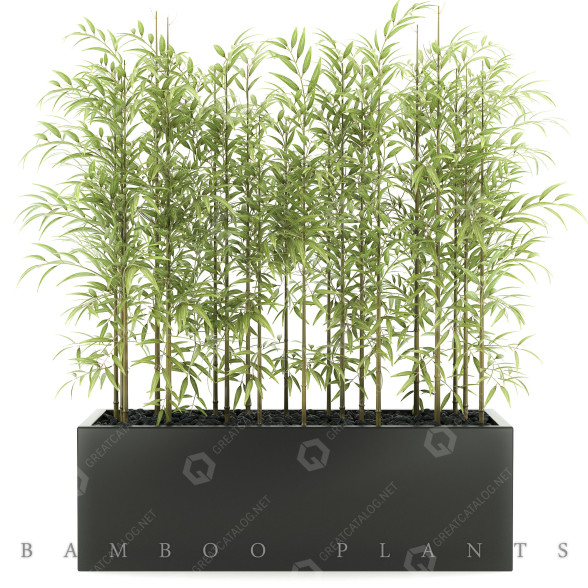 Blumentopf Bambuspflanzen 49 3D-Modell