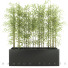 Blumentopf Bambuspflanzen 49 - SABHAT KHAN