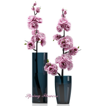Vasen und Pflanzen  Spring Flowers 3D-Modell