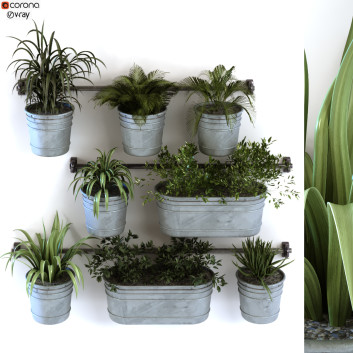 Doniczki  Plant in Vase Set 108 Model 3D
