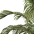 Doniczki Plant in Box Set 119 - unisjamavari