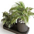 Doniczki Plant in Box Set 119 - unisjamavari