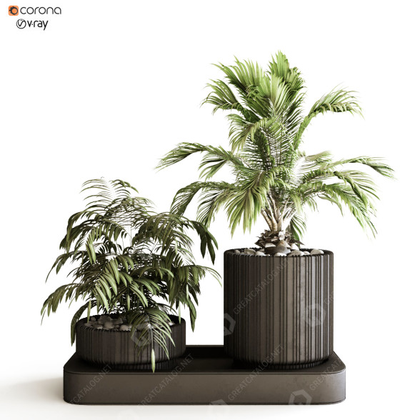 Doniczki Plant in Box Set 119 model 3D