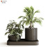 Doniczki Plant in Box Set 119 - unisjamavari
