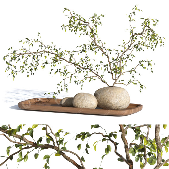 Ваза та рослина Plant Decor 3D модель
