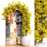 Doniczka i przegroda Flowers Set 1 - GANIBOEV