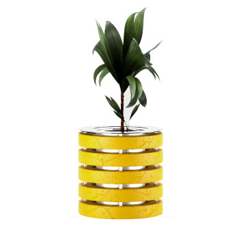 Blumentopf  Kokosblumengarten 3D-Modell
