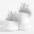 Dekor Kornegay Design Paseos linie - lyivan