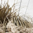 Dekoracja wisząca Pampas Grass (Cortaderia) and Dry Palm Leaves - Levitskiy_Igor
