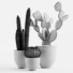 Plants Cactus Set - Levitskiy_Igor