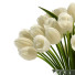 Ramo Tulipán 3 - SABHAT KHAN