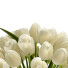 Ramo Tulipán 3 - SABHAT KHAN