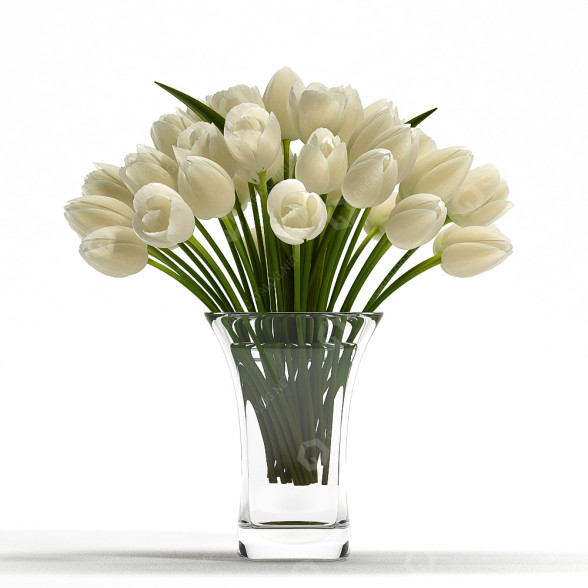 Ramo Tulipán 3 Modelo 3D