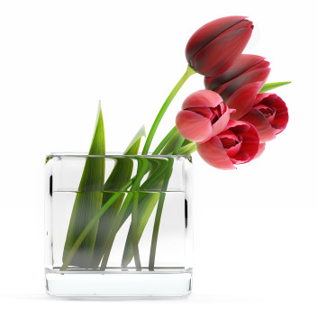 Ramo Tulipán 4