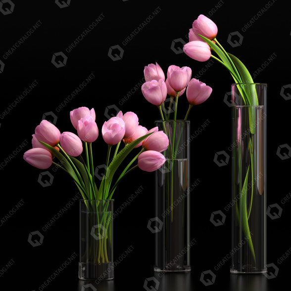 Ramos Tulipán 5 Modelo 3D