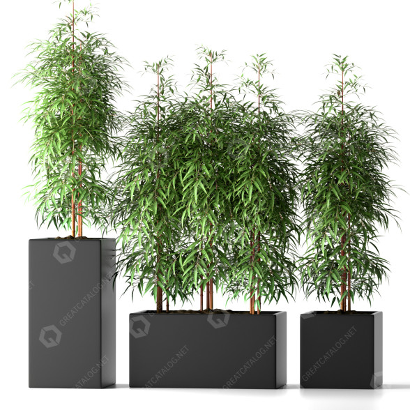 Blumentöpfe Bambuspflanze 20 3D-Modell