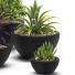 Flowerpots Plants 17 - SABHAT KHAN