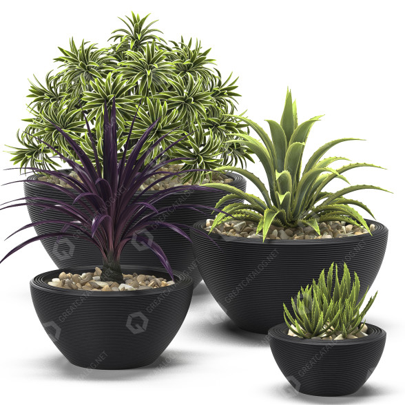 Flowerpots Plants 17 3D model
