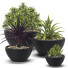 Flowerpots Plants 17 - SABHAT KHAN