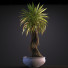 Blumentopf Pflanzen 5 - SABHAT KHAN