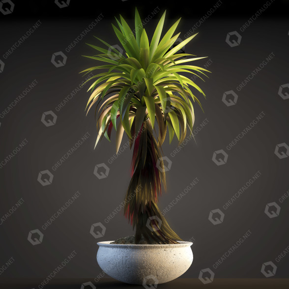 Blumentopf Pflanzen 5 3D-Modell