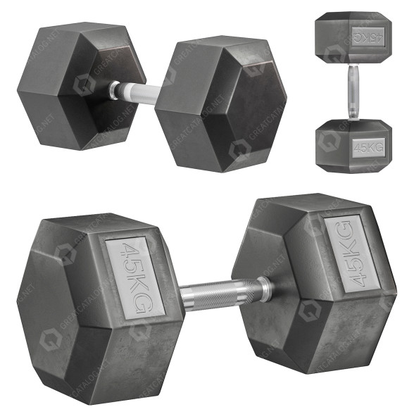 Dumbbell Profi Fit 45 kg 3D model