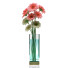 Wazony i kwiaty Gerbera 4 - SABHAT KHAN