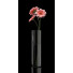 Wazony i kwiaty Gerbera 5 - SABHAT KHAN