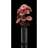 Wazony i kwiaty Gerbera 5 - SABHAT KHAN
