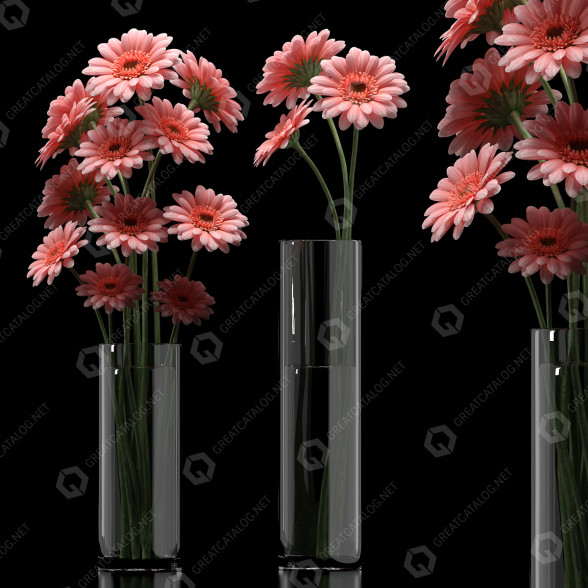Wazony i kwiaty Gerbera 5 model 3D
