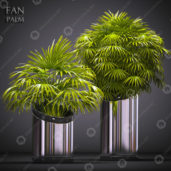 Doniczki Palm Plants 53 model 3D