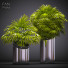 Doniczki Palm Plants 53 - SABHAT KHAN