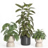 Flowerpots Indoor Plant Set 38 - nr.asgari