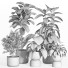 Flowerpots Indoor Plant Set 38 - nr.asgari