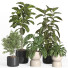 Flowerpots Indoor Plant Set 38 - nr.asgari