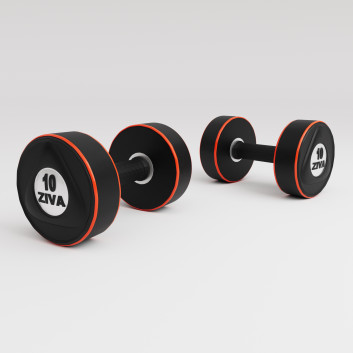 Гантель Ziva 10 kg