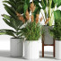 Blumentöpfe Indoor Set Plant 05 - nasrinrad