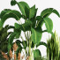 Blumentöpfe Indoor Set Plant 05 - nasrinrad