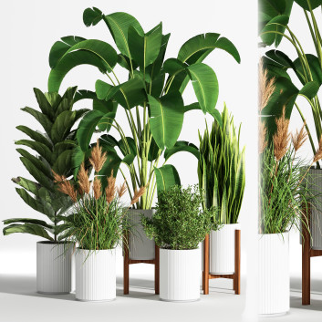 Blumentöpfe  Indoor Set Plant 05 3D-Modell