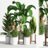 Blumentöpfe Indoor Set Plant 05 - nasrinrad
