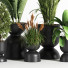 Blumentöpfe Indoor Set Plant 06 - nasrinrad