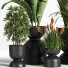 Blumentöpfe Indoor Set Plant 06 - nasrinrad