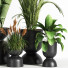 Blumentöpfe Indoor Set Plant 06 - nasrinrad