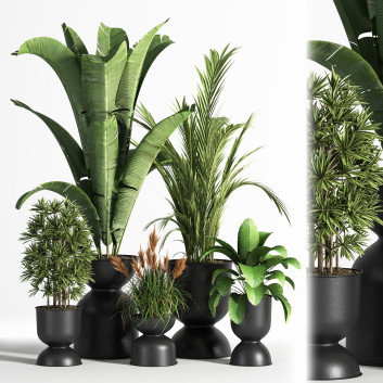 Blumentöpfe  Indoor Set Plant 06 3D-Modell